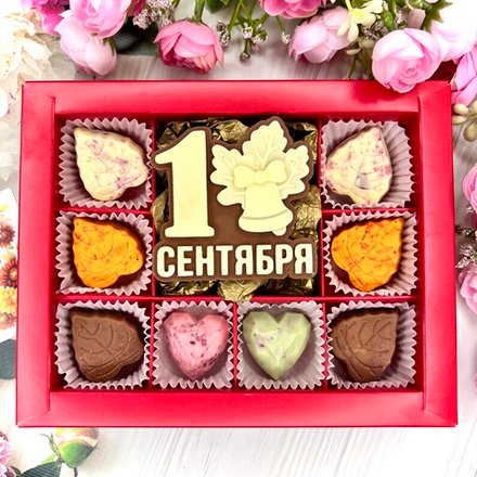 Шоколадный набор "1 сентября": шоколадка и 8 конфет ручной работы