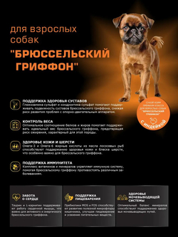 Корм сухой для взрослых собак породы Брюссельский гриффон, с индейкой, 12 кг, QUATTRO