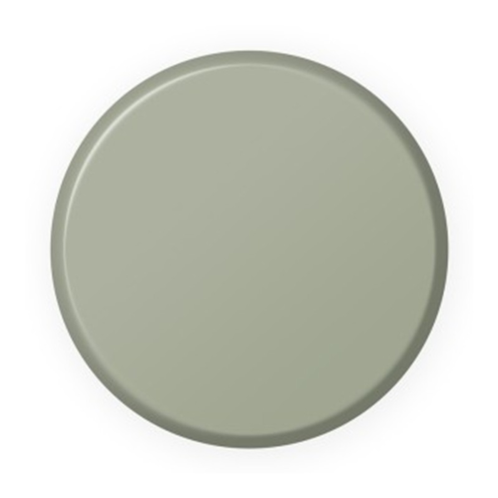 Выкрас Ruins Grey — Ionic Smart Colors