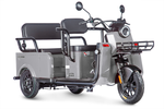 Электротрицикл Wanshida LC-F200 (1000Вт, 60B)