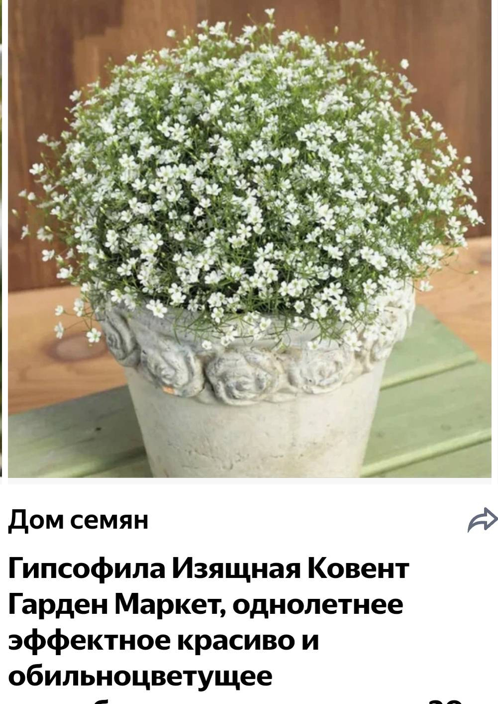 Гипсофила изящная Ковент Гарден маркет (0,2гр) ДемСиб 13.14 2788
