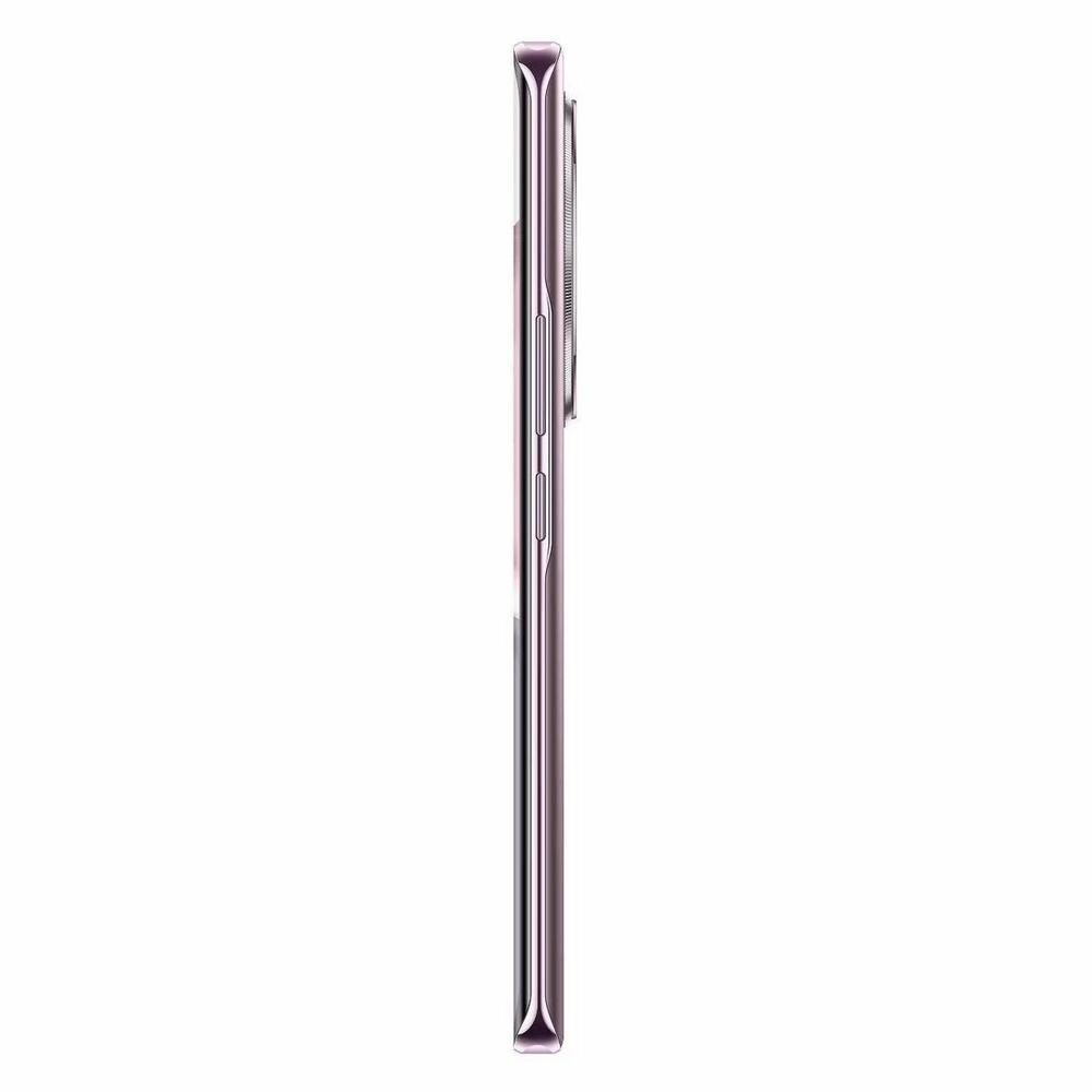 Смартфон Honor X9c 5G 12/256GB Titanium Purple (Титановый фиолетовый) (RU)