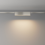Магнитный трековый светильник Maytoni EXILITY IP Basis TR151-1-18W3K-PT