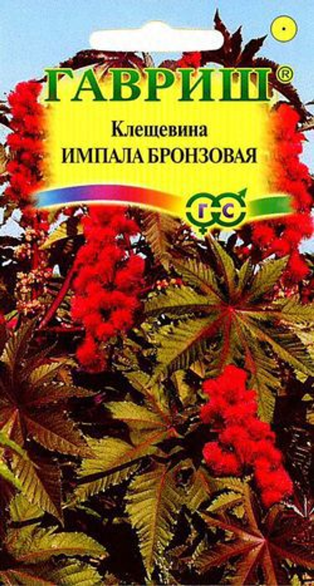 Клещевина Импала бронзовая 5шт Гавриш