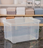 Контейнер для хранения «Кристалл XS Plus», 16 л, 38.9×27.5×21.5 см, с крышкой, прозрачный
