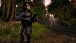 The Elder Scrolls Online: Tamriel Unlimited - Crown Edition (диск для PS4, полностью на английском языке)