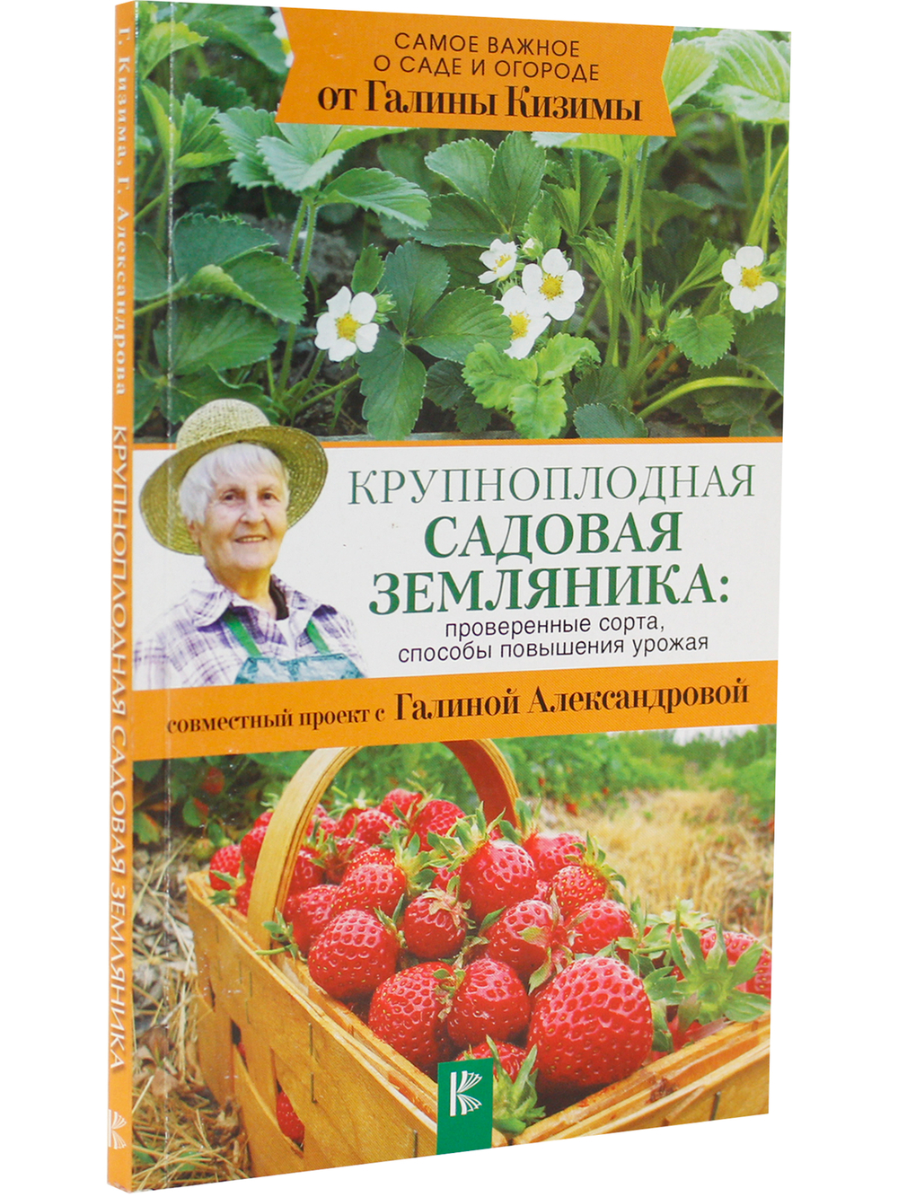 Крупноплодная садовая земляника. Лучшие сорта и современные технологии выращивания