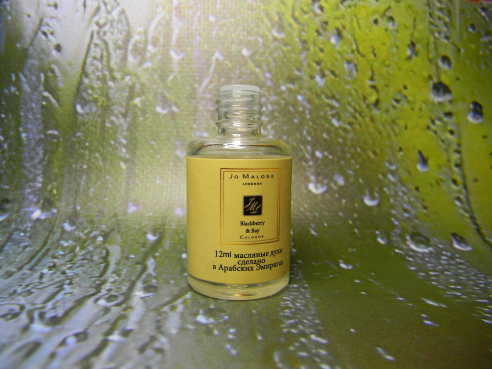 Автопарфюм Blackberry & Bay 12ml