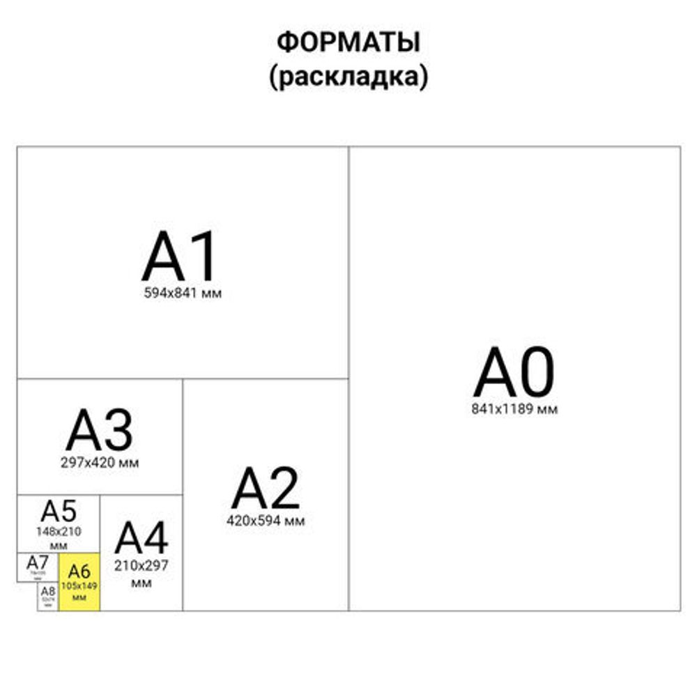 Блокнот с гелевой обложкой МАЛЫЙ ФОРМАТ (110х145 мм) А6, 56 л., скоба, CENTRUM, "Не фри мне", 84273