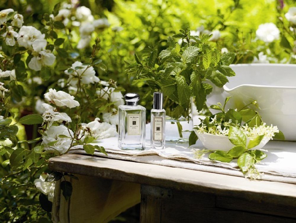 Jo Malone London Honeysuckle and Jasmine