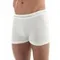 Мужские термошорты BRUBECK Comfort Wool BX10550