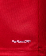 Джемпер тренировочный DIVISION PerFormDRY Pro Training Top, красный