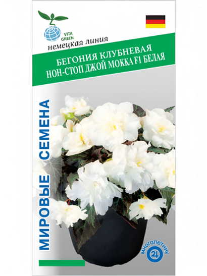Бегония клубневая Нон-Стоп Джой Мокка F1 Белая, семена 5 шт