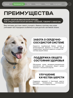 Корм сухой для взрослых собак породы Среднеазиатская овчарка (Алабай), с ягненком, 2.5 кг, QUATTRO