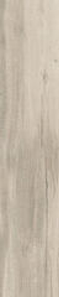 Rondine Daring Greige 24x120