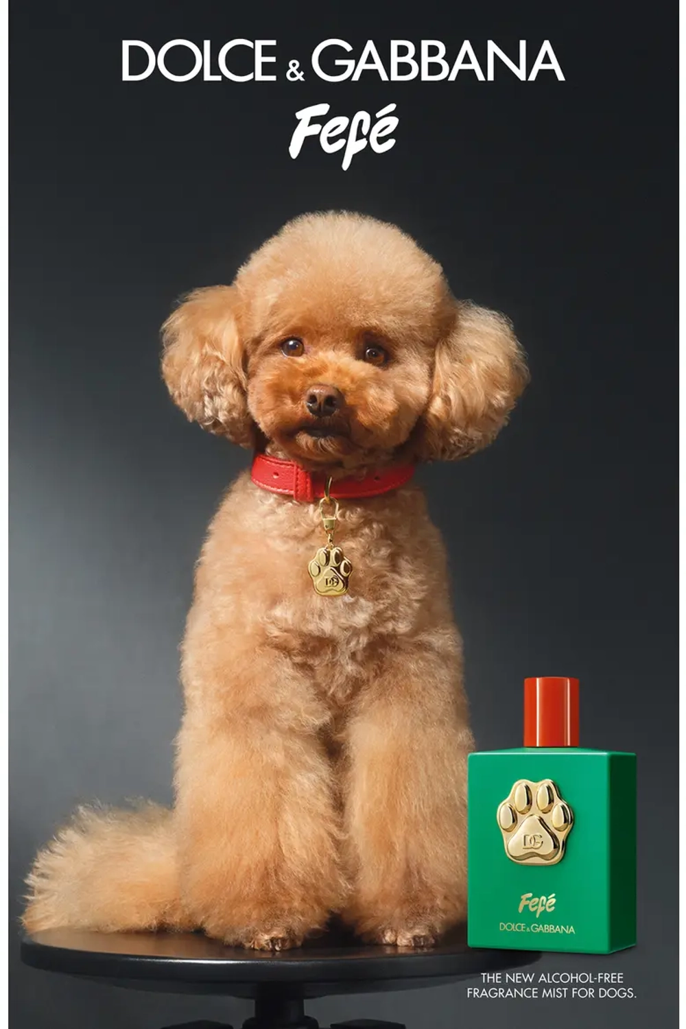 Dolce & Gabbana Fefé Fragrance Mist For Dogs