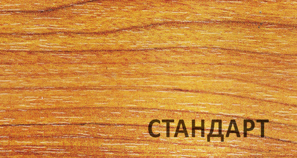 RAPID стандарт
