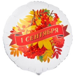 Заказать белые шарики с гелием на 1 сентября с рябиной