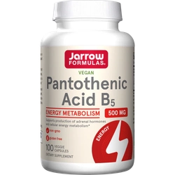 Pantothenic Acid 500 мг 100 капсул Jarrow Formulas