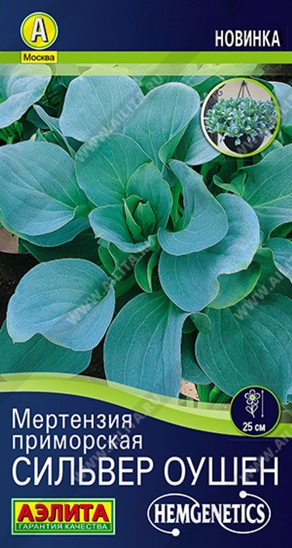Мертензия приморская Сильвер Оушен многолетник 5шт (Аэлита)- съедобная