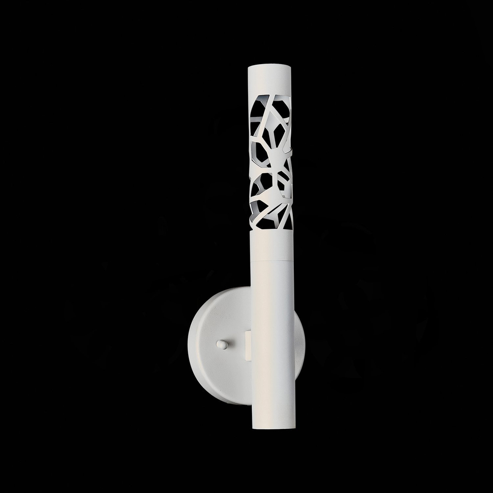 Светильник настенный ST Luce Fizorio SL1577.501.01