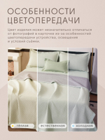 Покрывало двухстороннее Aurora Veil PAV005, размер 160*210