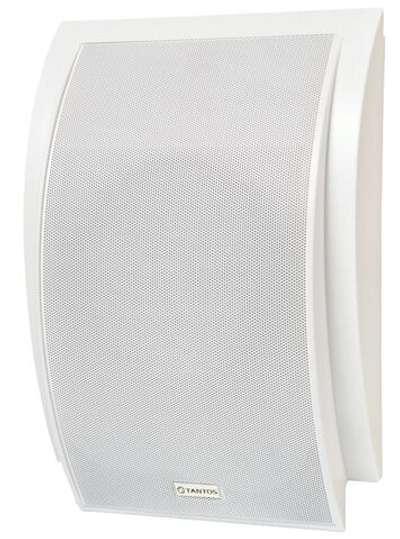 Громкоговоритель TSo-SW10b