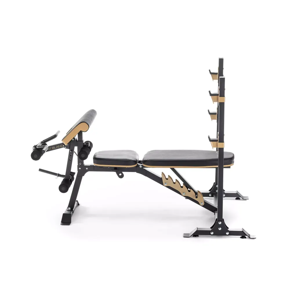 Скамья силовая черная OXYGEN FITNESS MONT BLANC