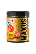 Презервативы MAXUS 2000 Amazing Dots №12 с железным кейсом, точечные, 12 шт