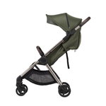 Коляска ANEX IQ Richi (2в1+багги)