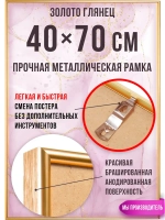 Металлическая фоторамка 40х70 см