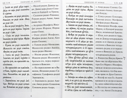 svyatoe-evangelie-na-cerkovnoslavyanskom-yazyke-s-parallelnym-perevodom-99324-494293