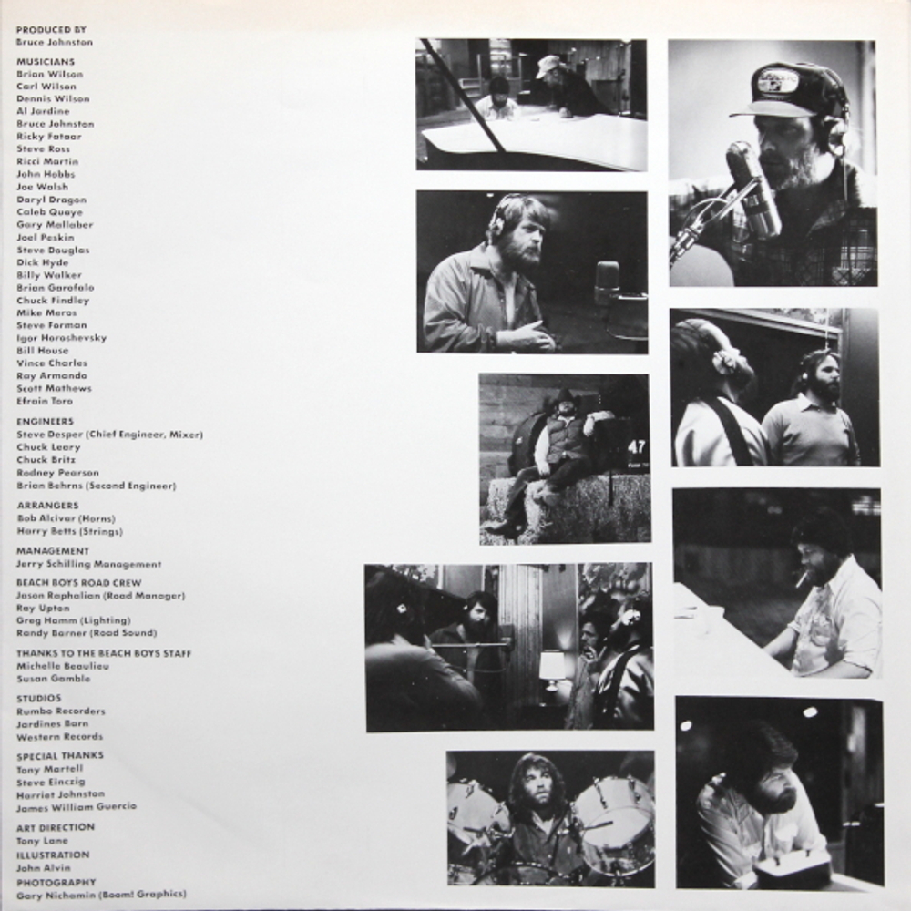 The Beach Boys / Keepin' The Summer Alive (LP)