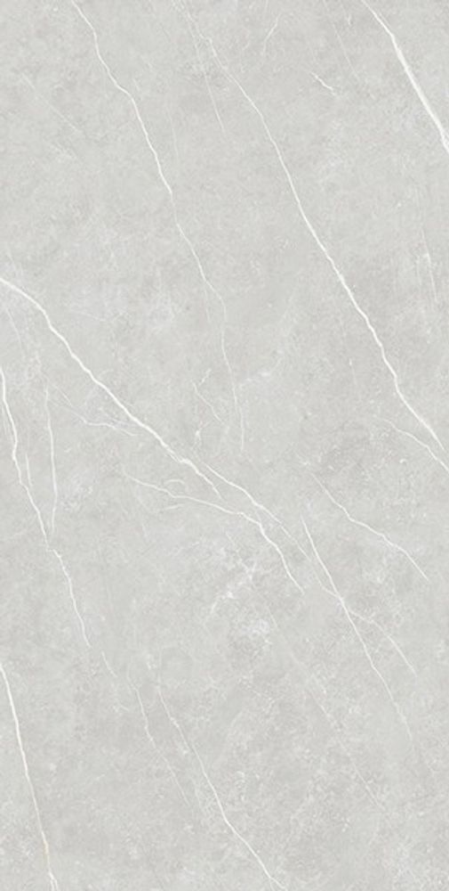 Керамогранит ELITE SILVER (6mm) (матовая) Керамогранит ELITE SILVER (6mm) (матовая)