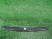 DSCN0905.JPG