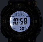 Часы Casio PRG-340ANS-3