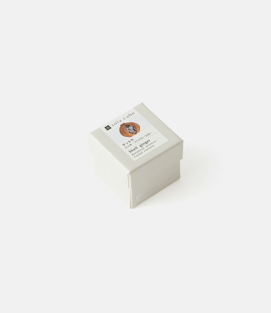 Sola Cube Shell Ginger — куб из акриловой смолы