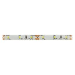 Светодиодная лента ЭРА LS2835-60LED-IP65-W-eco-5m холодный белый 1 год | Светодиодные ленты 12В 1 год