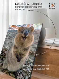 Картина "Квокка", интерьерная 30х40см 1шт.
