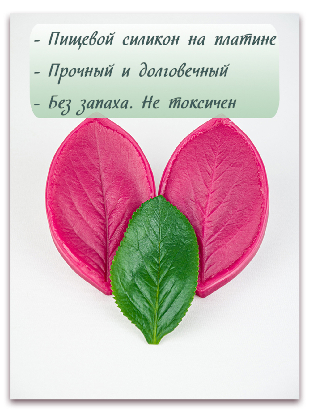Лист аронии малый (черноплодная рябина)
