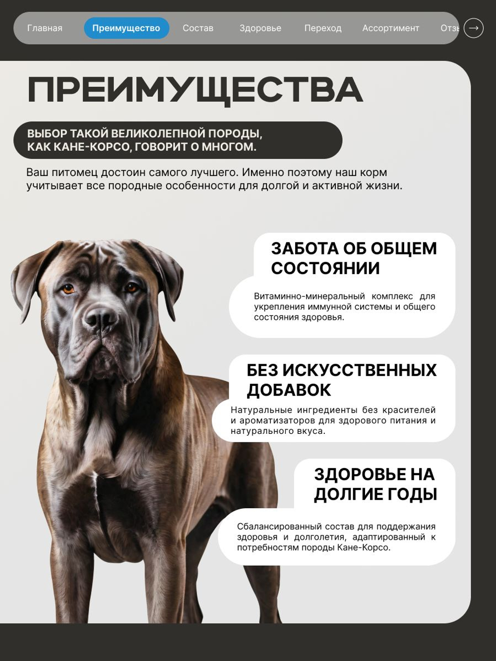 Корм сухой для взрослых собак породы Кане-корсо, премиум полнорационный комплекс, с лососем, 2,5 кг, QUATTRO