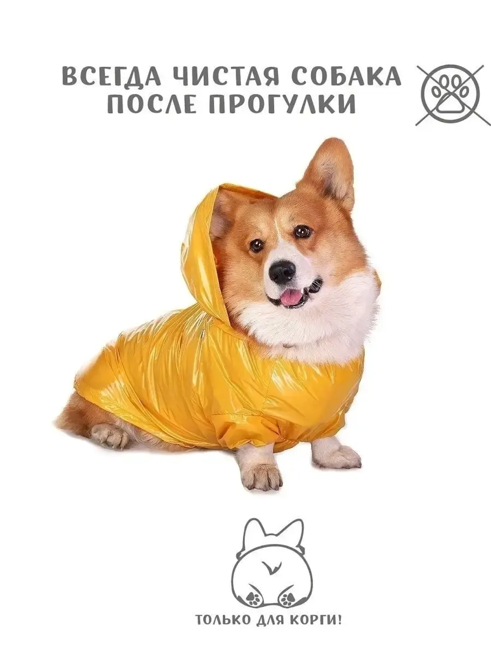 Дождевик для собак Корги комбинезон