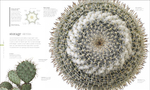 The Science of Plants: Inside their Secret World
