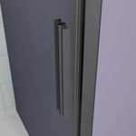 Душевая дверь Veconi Ottimo P30 B, 800x1900, черный матовый, стекло прозрачное