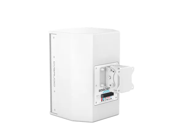 CVGAUDIO BS608TW корпусная акустическая система
