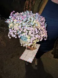 Гипсофила в коробке