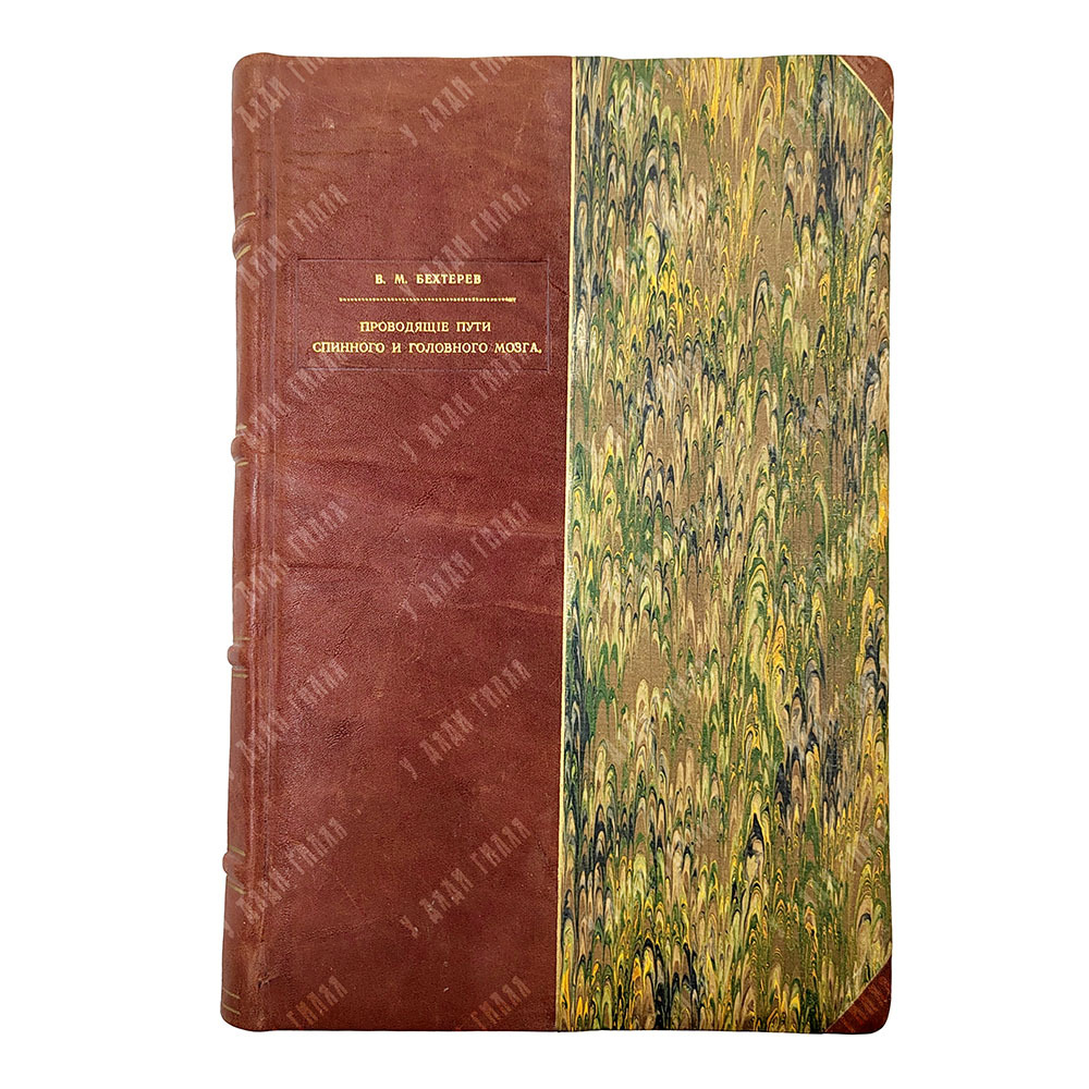 [Прижизненное издание] Бехтерев В. М. Проводящие пути спинного и головного мозга. Ч. 2. 1898