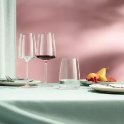 Набор Zwiesel Glass Vivid Senses