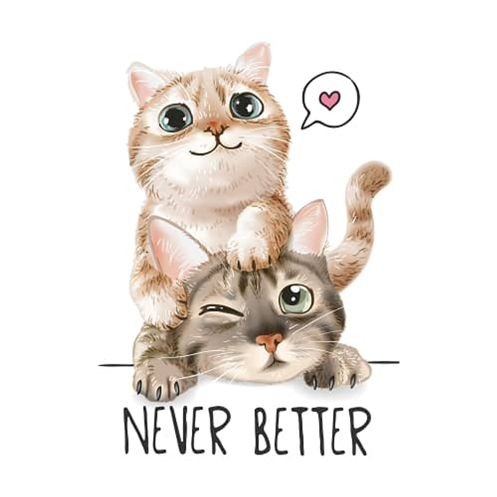 Ироничный принт с котами в стиле акварель и фразой Never Better
