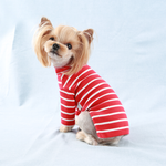 588 Водолазка в полоску "Stripes T-Shirt Puppy Angel"